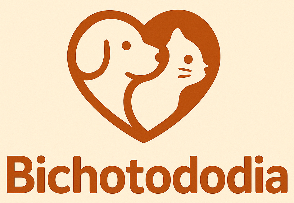 Meu Blog